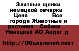 Элитные щенки немецкой овчарки › Цена ­ 30 000 - Все города Животные и растения » Собаки   . Ненецкий АО,Андег д.